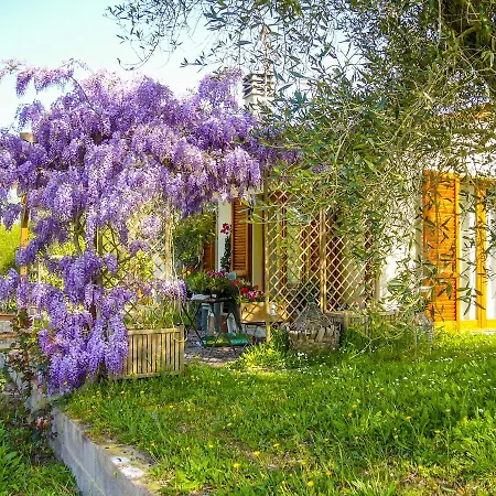 Apartmán Casa Violet - Goelba *