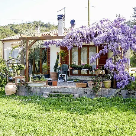 Casa Violet - Goelba Apartment