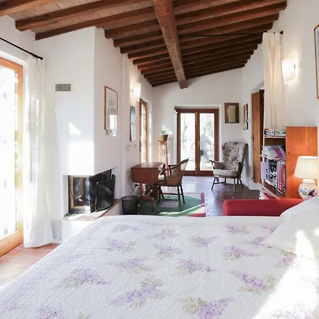 Casa Violet - Goelba Apartmán